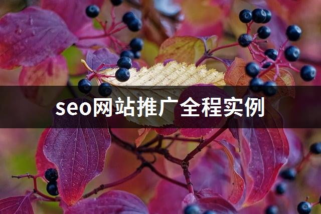 seo网站推广全程实例-1