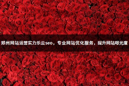 郑州网站运营实力乐云seo，专业网站优化服务，提升网站曝光度-1