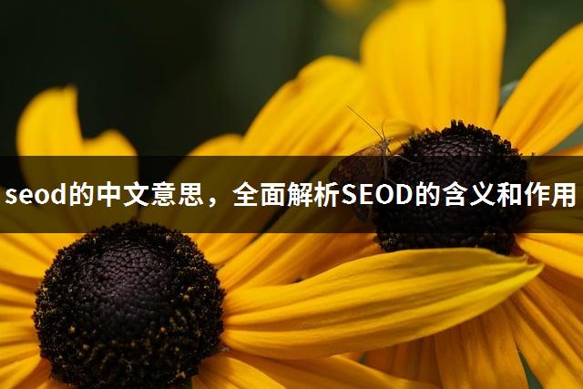 seod的中文意思，全面解析SEOD的含义和作用-1