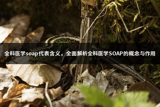 全科医学soap代表含义，全面解析全科医学SOAP的概念与作用-1