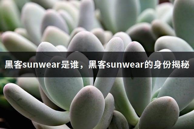 黑客sunwear是谁，黑客sunwear的身份揭秘-1