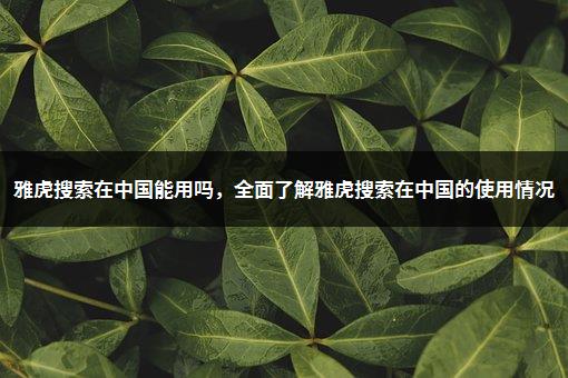雅虎搜索在中国能用吗，全面了解雅虎搜索在中国的使用情况-1