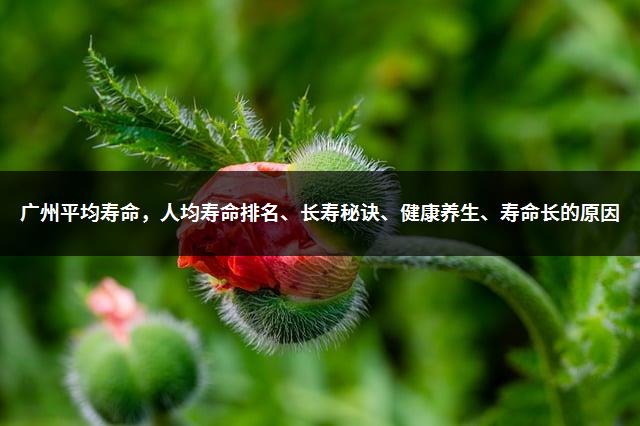 广州平均寿命，人均寿命排名、长寿秘诀、健康养生、寿命长的原因-1