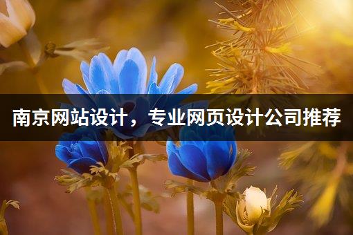 南京网站设计，专业网页设计公司推荐-1
