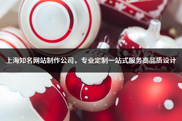 上海知名网站制作公司，专业定制一站式服务高品质设计-1