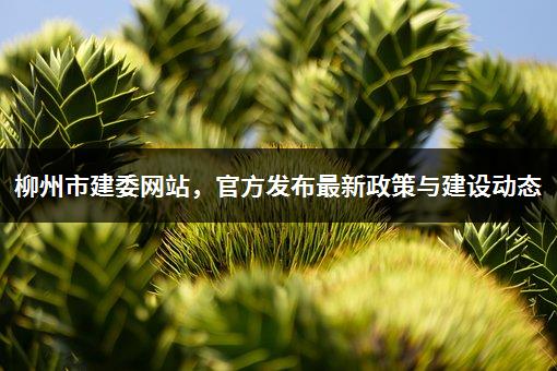 柳州市建委网站，官方发布最新政策与建设动态-1