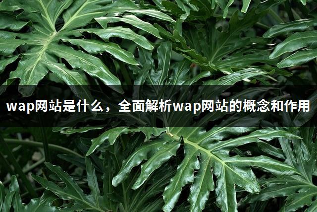 wap网站是什么，全面解析wap网站的概念和作用-1