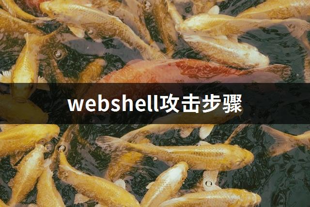 webshell攻击步骤-1