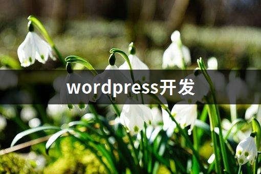 wordpress开发-1