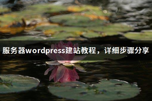 服务器wordpress建站教程，详细步骤分享-1