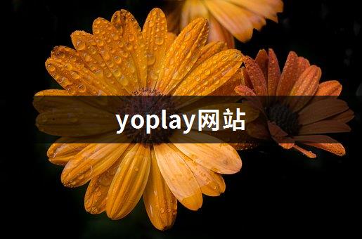 yoplay网站-1